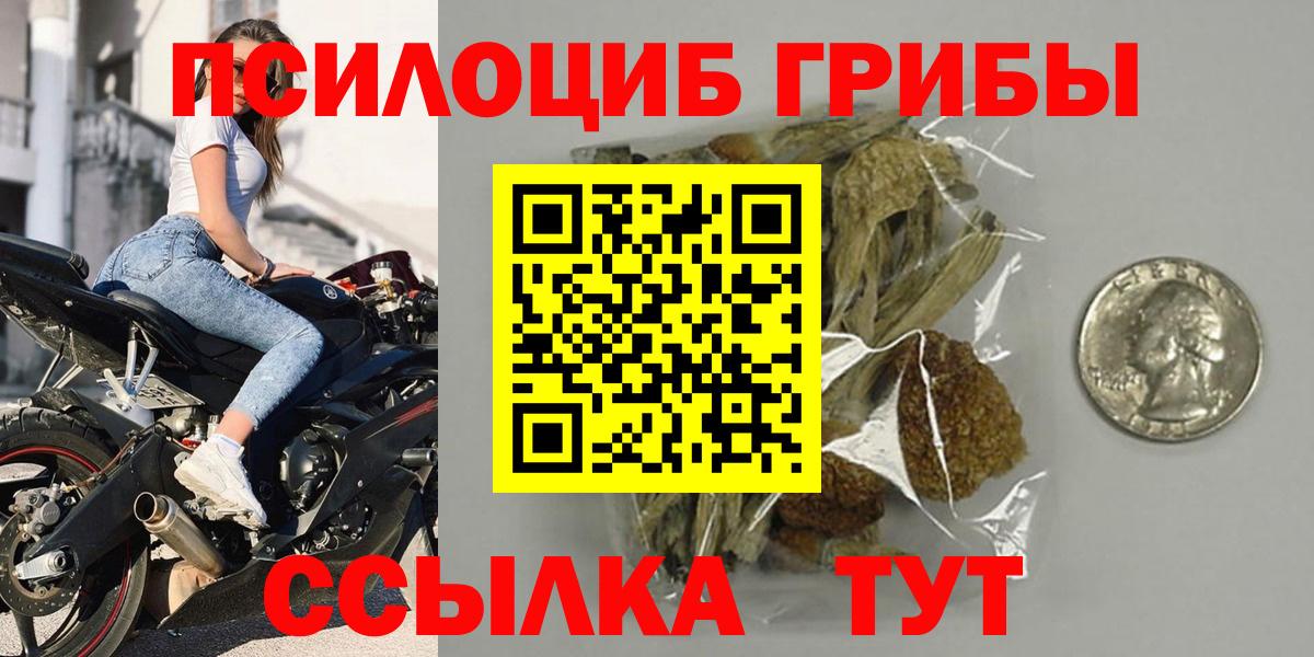 Сухой Лог  Галлюциногенные грибы прущие грибы  Вход с VPN 