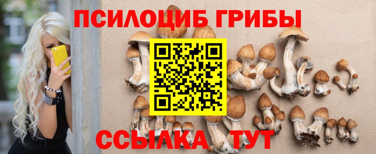 Галлюциногенные грибы прущие грибы Сухой Лог