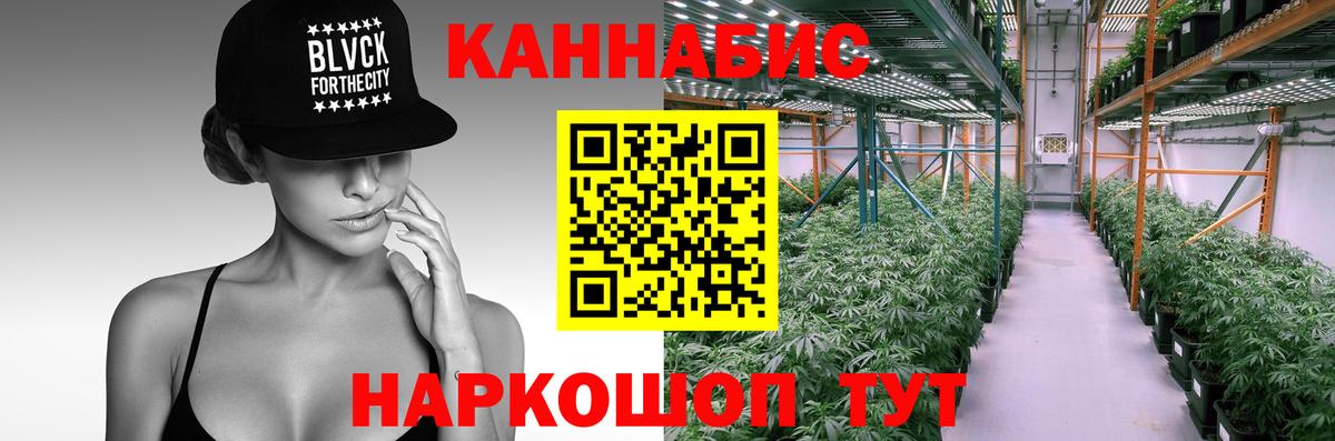 Бошки Шишки конопля  Конопля VHQ  Вход с VPN  Сухой Лог 